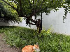 -北京鲁迅博物馆(北京新文化运动纪念馆鲁博馆区)