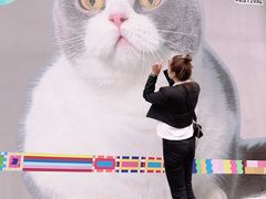 -方浜中路45弄小区