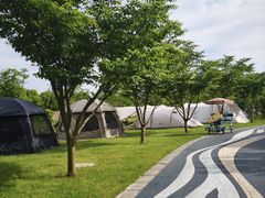 -贡湖湾湿地公园