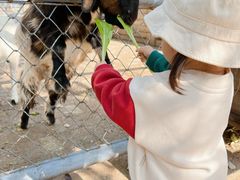 -长白岛森林公园