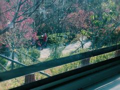 -小南山公园