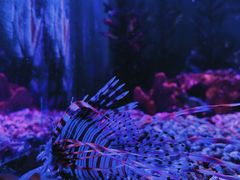 -波塞冬旅游度假区