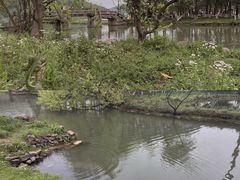 -南北湖风景区