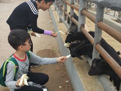 -长廊欢乐园