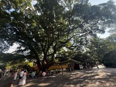 -桂林独秀峰王城景区