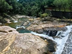 -广州白江湖森林公园