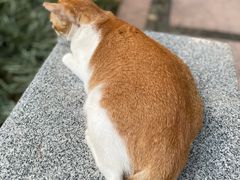 -晓港公园