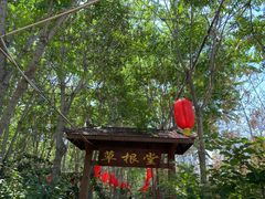 -草根堂农场