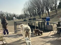 -小意思咖啡店(草桥店)