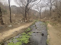 -白水寺森林公园