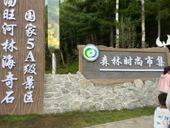 -汤旺河林海奇石景区