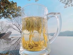 -天目湖涵田度假村