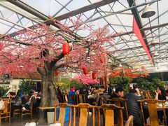 -老磨油饼(高陵店)