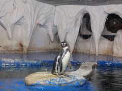 -太平洋海底世界