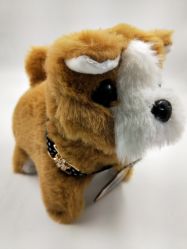 -开心哈乐亲子乐园(东森时尚百货店)