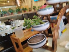 -烹然四季椰子鸡火锅(团结湖总店)
