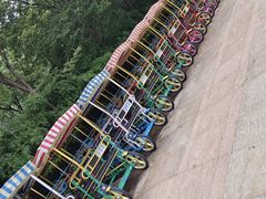 -东方绿舟景区