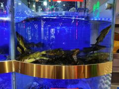 -蛙一刀·麻椒鱼火锅(金仙桥店)