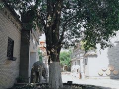 -龙潭水乡