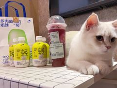 -喜茶(武汉范湖万达广场店)