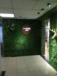 -V-STAR威斯达•高级私人定制