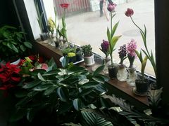 -Tian品