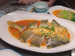 -1937青岛老味道·海肠捞饭·青岛菜(大鲍岛栈桥店)