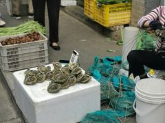 -科巷菜场