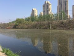 -前关湿地公园