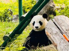 -天津市动物园