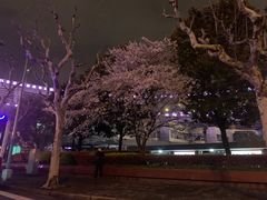 -上海南浦大桥长途旅游客运站