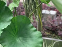 -中海环宇荟
