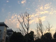 -苏州工学院(东南校区)