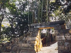 -老木棉·匠园