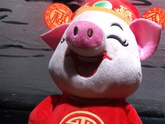 -湘邻呷铺·田园家宴(汉基广场店)