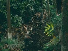 -天目湖御水温泉·度假酒店