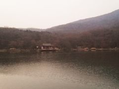 -紫霞湖公园