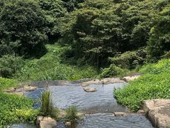 -马峦山郊野公园