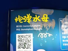 -欢乐海岸海洋奇梦馆