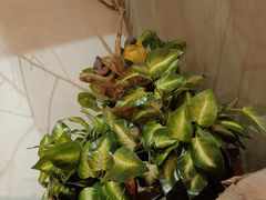 -湘当爱·鲜煮现炒(松岗立业路店)