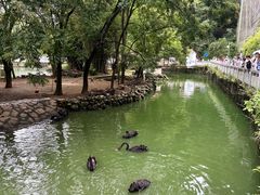 -黔灵山公园