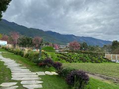 -云禾壹海景庄园餐厅