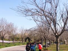 -南通洲际绿博园