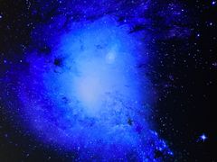 -丁家坡洋芋·观音桥好吃街A区(全国总店)