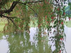 -人民公园(罗湖区)