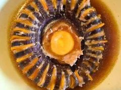 -鲸励母婴月嫂(望京店)