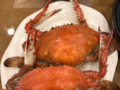 -北塘海鲜·天津菜(大光明桥旗舰店)