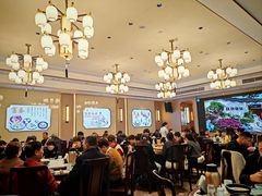 -富春茶社(国庆路店)