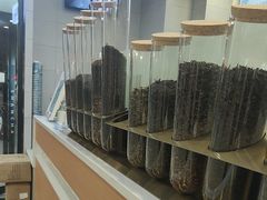 -雾与山茶(大禹城店)