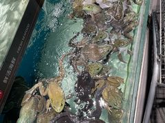 -偏爱炒鸡(老县衙店)